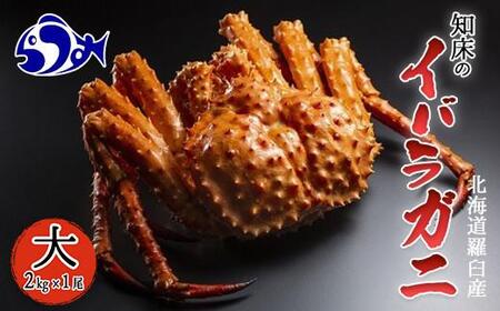 mCo p() ΂炪  Jj I  P kCY CY Y x 