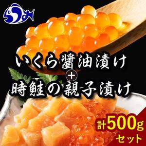 北海道知床羅臼産 時鮭（ときしらず）の親子漬け・醤油いくらセット（計500g） F21M-743