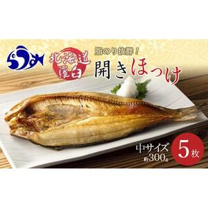 羅臼産　開きほっけ(中サイズ5枚)｜ほっけ　北海道