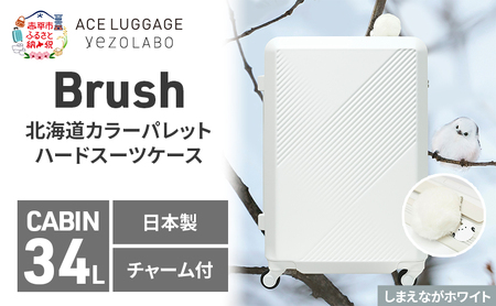 Brush 北海道カラーパレットスーツケース LTD 34L CABIN_No.580217706 シマエナガホワイト