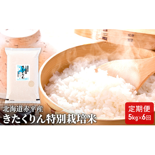 北海道赤平産 きたくりん 5kg 特別栽培米 【6回お届け】 精米 米 北海道 定期便 お米 ふるさと納税 