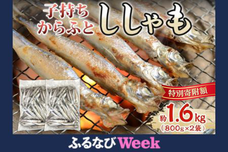 [ふるなびWEEK対象]子持ちからふとししゃも 約1.6kg(800g×2) 樺太 魚シシャモ メス おつまみ 魚貝類 干物 量販店 居酒屋 馴染み 人気 卵 詰まった 塩 味付け FN-Limited-PR
