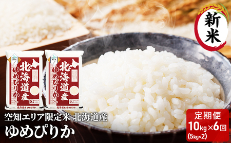 mGA kCY ߂҂肩10kg (5kg×2)y6񂨓͂z  kC  kC ԕs