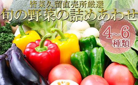 皆菜久留直売所厳選 旬の野菜の詰めあわせ[4〜6種類]※8月下旬より順次出荷 セット 詰合せ イモ じゃがいも