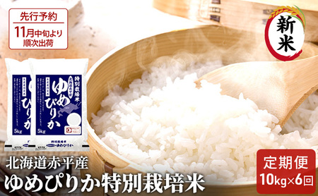 [先行予約2025年産米・11月中旬より順次出荷]北海道赤平産 ゆめぴりか 10kg (5kg×2袋) 特別栽培米 [6回お届け] 米 北海道 定期便 お米
