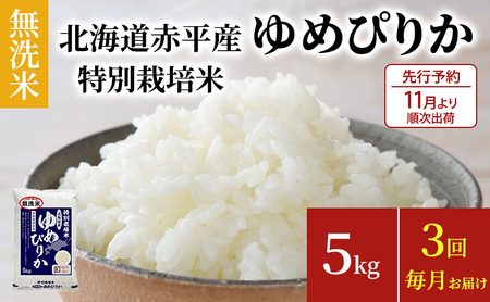 無洗米 北海道赤平産 ゆめぴりか 5kg 特別栽培米 [3回お届け] 米 北海道 定期便