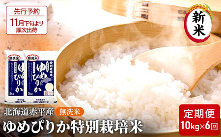 ys\2025NYāE11{菇oׁz kCԕY ߂҂肩 10kg (5kg×2) ʍ͔| y6񂨓͂z  kC 