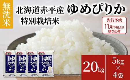 ys\2025NYāE11{菇oׁz kCԕY ߂҂肩 20kg (5kg×4) ʍ͔|  kC  ӂ邳Ɣ[