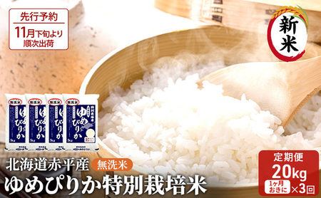 ys\2025NYāE11{菇oׁz kCԕY ߂҂肩 20kg (5kg×4) ʍ͔| y13񂨓͂z  kC   ӂ邳Ɣ[