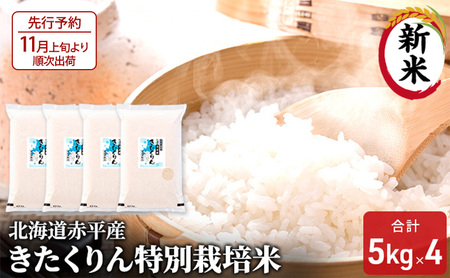 ys\2025NYāE11{菇oׁzkCԕY  20kg (5kg×4) ʍ͔|  kC  ӂ邳Ɣ[