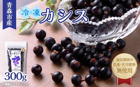 青森市産冷凍カシス300g_果物・フルーツ くだもの_[配送不可地域:離島]
