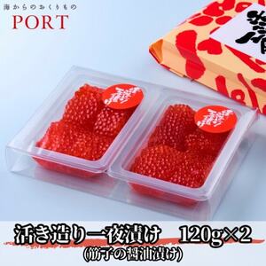 ポートの活き造り一夜漬け 240g(120g×2パック)_魚介・海産物 魚卵 _[配送不可地域:離島]