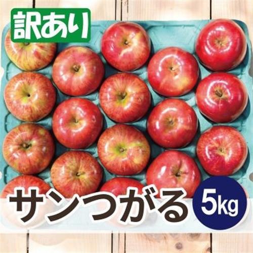 先行受付 青森 りんご 8～9月発送 訳あり サンつがる 約5kg 平均糖度12度以上! クール便 _果物・フルーツ りんご  リンゴ 林檎_【配送不可地域：離島・沖縄県】【1606199】