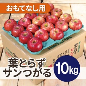 [2025年9月発送予定]平均糖度12度以上!葉とらずサンつがる 約10kg おもてなし用 クール便_果物・フルーツ りんご リンゴ 林檎_[配送不可地域:離島・沖縄県]
