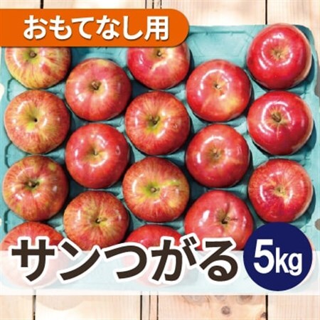 【2026年9月発送予定】平均糖度12度以上! 葉とらずサンつがる 約5kg おもてなし用_果物・フルーツ りんご  リンゴ 林檎_【配送不可地域：離島・沖縄県】【1607042】