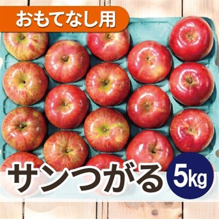 青森 りんご 8〜9月発送 サンつがる おもてなし用 約5kg 平均糖度12度以上! 冷蔵便_果物・フルーツ りんご リンゴ 林檎_[配送不可地域:離島・沖縄県]