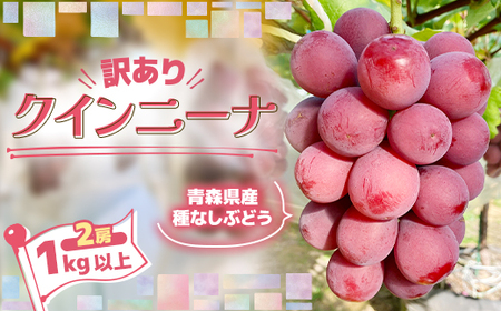 2026Ny󂠂zȂԂǂ XYNCj[i 2[(1.0kg`1.2kg)_ʕEt[c ԂǂE}XJbg  uhE  _yzsnFzy1613277z