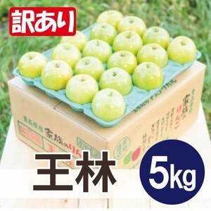 [25年11月より順次発送]平均糖度13度以上! 王林 約5kg 訳あり_果物・フルーツ りんご リンゴ 林檎_[配送不可地域:離島・沖縄県]