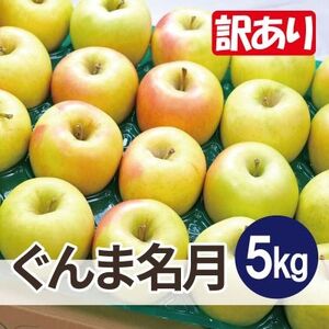 [25年11月より順次発送]平均糖度13度以上! ぐんま名月 約5kg 訳あり_果物・フルーツ りんご リンゴ 林檎_[配送不可地域:離島・沖縄県]