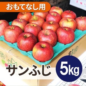 【26年5月出荷予定】平均糖度13度以上! サンふじ 約5kg おもてなし用 CA貯蔵 クール便_果物・フルーツ りんご  リンゴ 林檎_【配送不可地域：離島・沖縄県】【1612838】