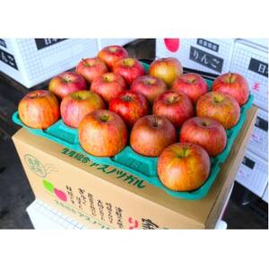 【26年5月出荷予定】平均糖度13度以上! サンふじ 約5kg 訳あり CA貯蔵 クール便_果物・フルーツ りんご  リンゴ 林檎_【配送不可地域：離島・沖縄県】【1612840】