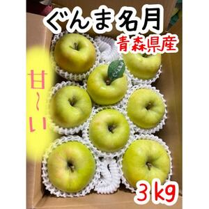 先行受付[青森市産・ぐんま名月]約3kg(家庭用)_果物・フルーツ りんご リンゴ 林檎_