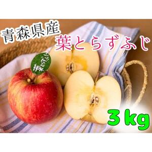 先行受付[青森市産・完熟葉とらずふじ]約3kg(家庭用)_果物・フルーツ りんご リンゴ 林檎_