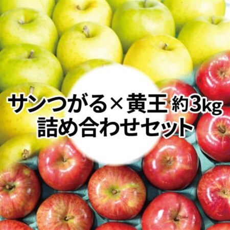 【26年8月下旬より順次発送】糖度12度以上保証! 黄王×サンつがる 約3kg 訳あり クール便_果物・フルーツ りんご  リンゴ 林檎_【配送不可地域：離島・沖縄県】【1613853】