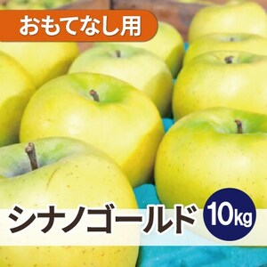 【26年5月出荷】平均糖度13度以上! シナノゴールド 約10kg おもてなし用 CA貯蔵 クール便_果物・フルーツ りんご  リンゴ 林檎_【配送不可地域：離島・沖縄県】【1612903】