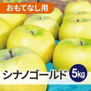 【26年5月出荷】平均糖度13度以上! シナノゴールド 約5kg おもてなし用 CA貯蔵 クール便_果物・フルーツ りんご  リンゴ 林檎_【配送不可地域：離島・沖縄県】【1612904】
