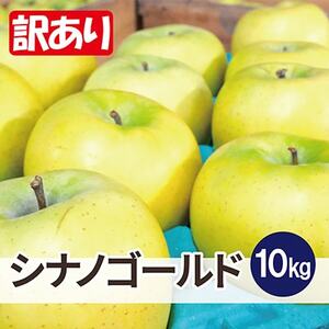 【26年5月出荷予定】平均糖度13度以上! シナノゴールド 約10kg 訳あり CA貯蔵 クール便_果物・フルーツ りんご  リンゴ 林檎_【配送不可地域：離島・沖縄県】【1612905】