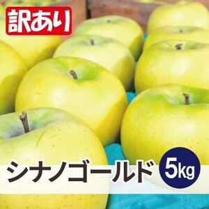 【26年5月出荷予定】平均糖度13度以上! シナノゴールド 約5kg 訳あり CA貯蔵 クール便_果物・フルーツ りんご  リンゴ 林檎_【配送不可地域：離島・沖縄県】【1612906】