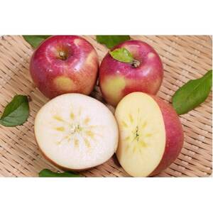 [2025年12月発送予定]平均糖度13度以上! おもてなし用葉とらずサンふじ 約3kg[配送不可地域:離島]