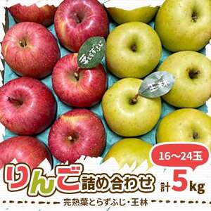 y2025NYz ntƂ炸ӂEыlߍ킹 5kg (16`24)yzsnFEꌧzy1181953z