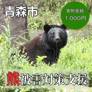 [返礼品なし]クマによる被害を防ぐ〜クマ対策へのご支援を〜 1,000円