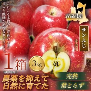[青森直送 季節の味覚をお届け!]サンふじ 3kg×1箱(家庭用)青森産 産地直送 限定生産[配送不可地域:離島]