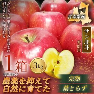 [青森直送 季節の味覚をお届け!]サン北斗(幻のサン北斗)3kg×1箱(家庭用)青森産 産地直送[配送不可地域:離島]