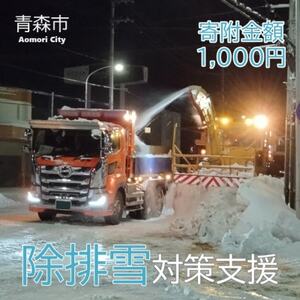 [返礼品なし]世界一の豪雪都市!雪に強い持続可能な都市づくり 1,000円