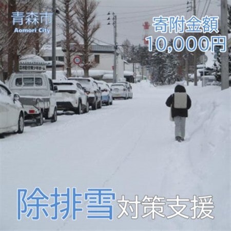 【返礼品なし】世界一の豪雪都市!雪に強い持続可能な都市づくり　10,000円