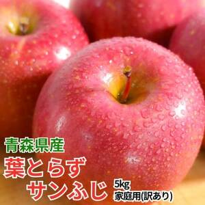 [26年4月出荷予定]平均糖度13度以上! 葉とらずサンふじ 約5kg 訳あり[配送不可地域:離島]