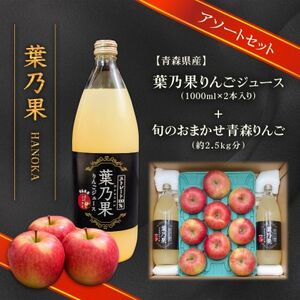 葉とらずりんごジュース2本&家庭用訳あり 青森県産りんご約2.5kg(品種おまかせ) アソートセット[配送不可地域:離島・沖縄県]