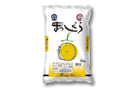 まっしぐら 精米5kg_ 精米 米     米 こめ コメ_【1118147】
