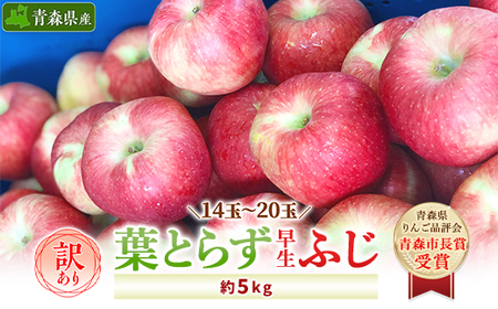 【訳あり】 りんご 葉とらず早生ふじ 家庭用 約5kg (14玉～20玉)  _A3-830【配送不可地域：離島・沖縄県】【1142406】