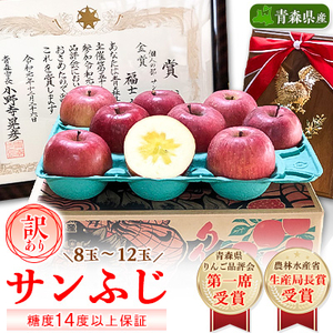 りんご「サンふじ」約3kg(糖度14度以上保証・訳あり家庭用)_A1-808【1106865】