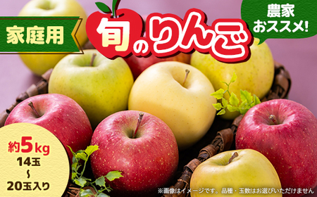 ƒpy2025N8`10z_ƂXX!{̂񂲖5kg(14ʁ`20ʓ)(①)_ʕEt[c   S ь_yzsnFzy1222616z