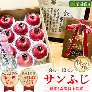 りんご 「サンふじ」 糖度14度以上保証 約3kg (8～12玉) 青森市長賞受賞 【配送不可地域：離島】【1085322】