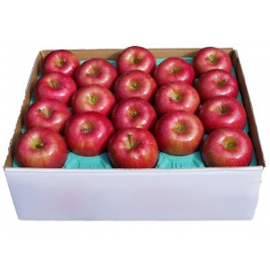  t炸 (Tӂ) 5kg_ʕEt[c   S ь_yzsnFEꌧzy1331571z