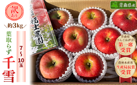 「葉取らず千雪」約3kg・訳あり家庭用りんご_果物・フルーツ りんご リンゴ 林檎_[配送不可地域:離島・沖縄県]