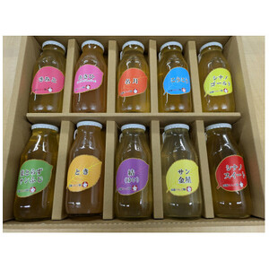 りんごジュース10品種 10本セット(180ml × 10本)【添加物不使用】_飲料・ドリンク りんごジュース 果汁飲料 林檎ジュース アップルジュース リンゴジュース_【1397346】