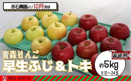 りんご [ 10月発送 ]家庭用 早生ふじ & トキ 約 5kg [ 弘前市産 青森りんご ] 果物 フルーツ 食後 デザート 早生りんご ジューシー シャキシャキ 濃厚な甘み